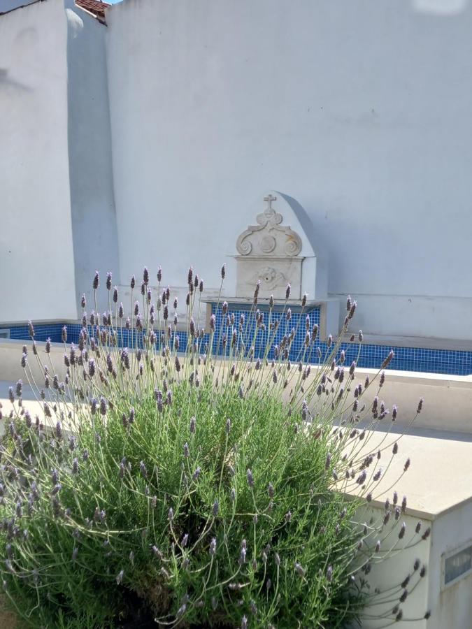 Pateo Dos Oliveira - Casa Da Cocheira Appartement Évora Buitenkant foto